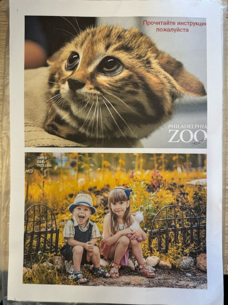 Струйный принтер Epson L1110