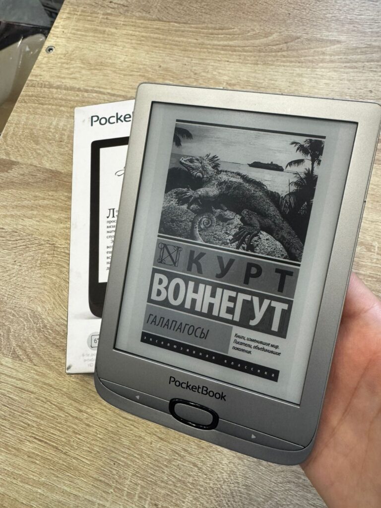 Электронная книга PocketBook PB616 Matte Silver