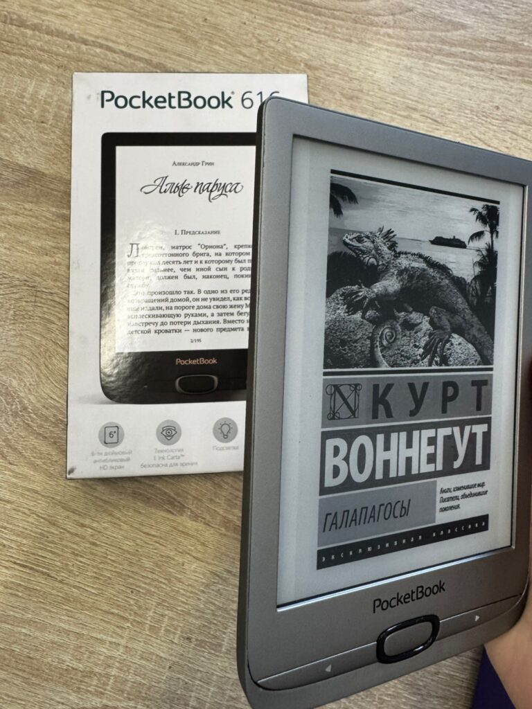 Электронная книга PocketBook PB616 Matte Silver