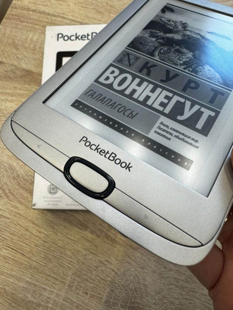 Электронная книга PocketBook PB616 Matte Silver