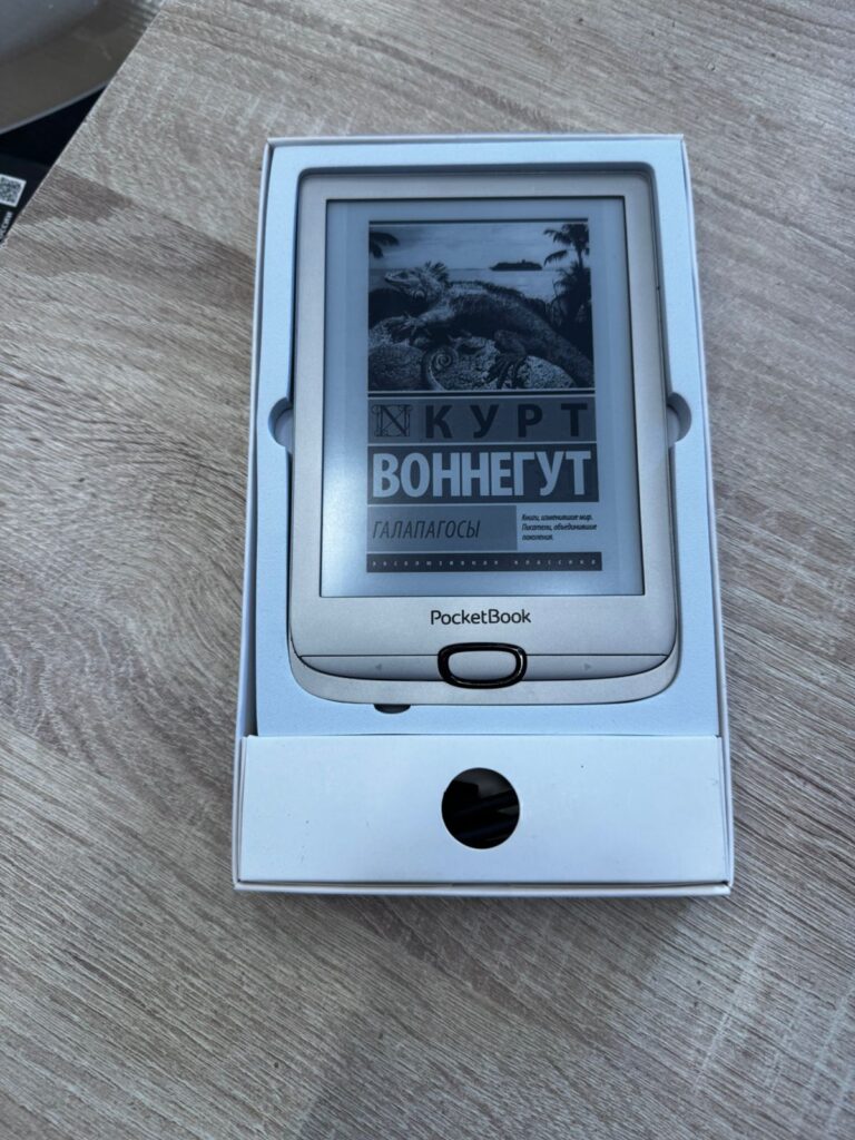 Электронная книга PocketBook PB616 Matte Silver